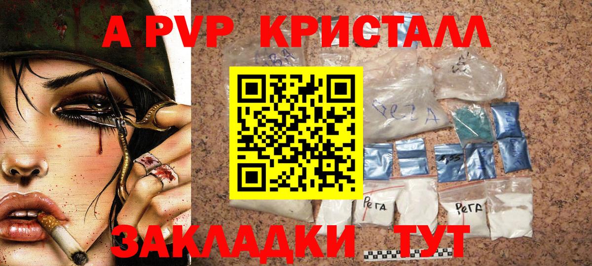 A PVP СК Кингисепп
