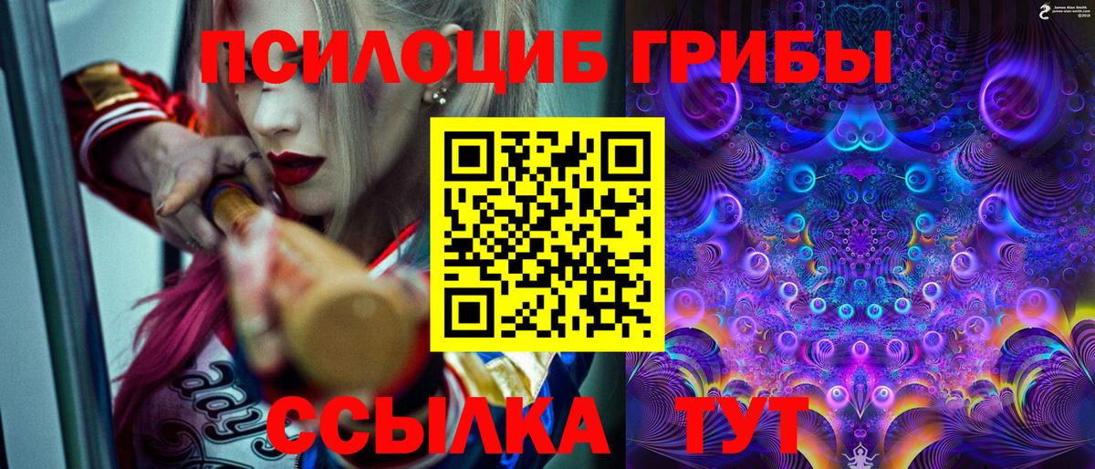Псилоцибиновые грибы мицелий Кингисепп